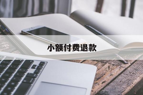 小额付费退款(小额支付业务退回申请应遵循的原则)