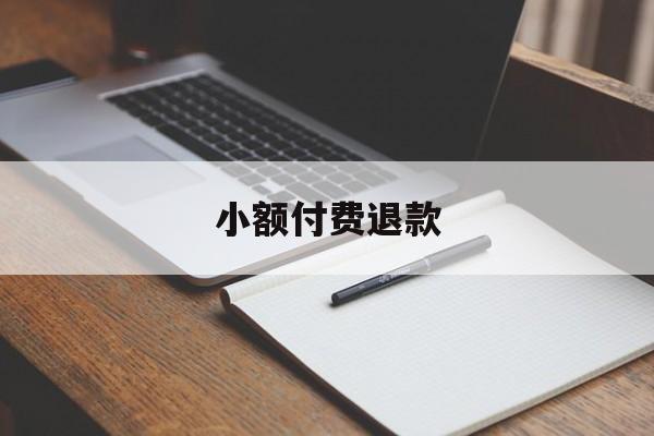 小额付费退款(小额退款要多长时间)